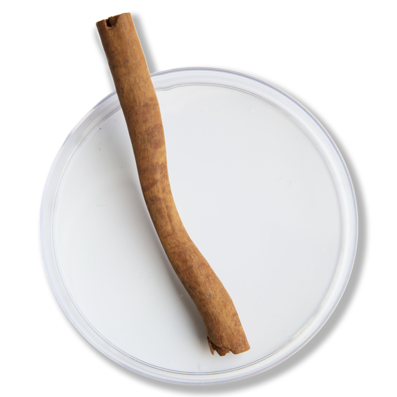 Licorice Root Extract