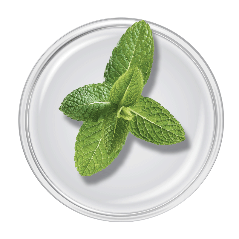 Spearmint Oil