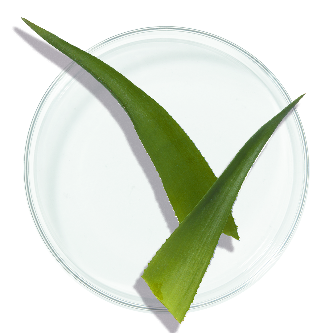 Aloe